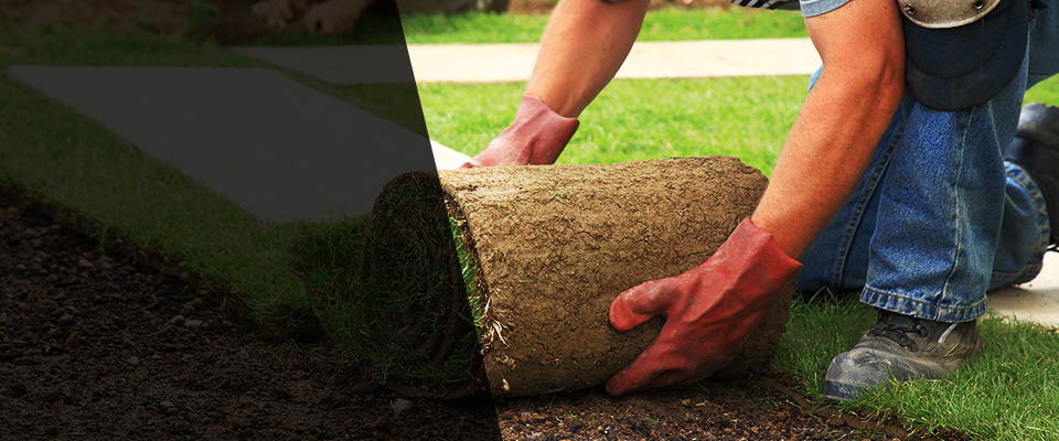 Glen Rock Landscapers